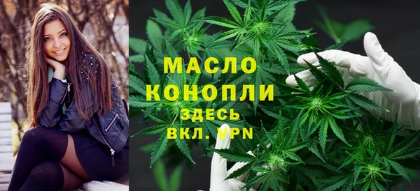 спиды Богородицк