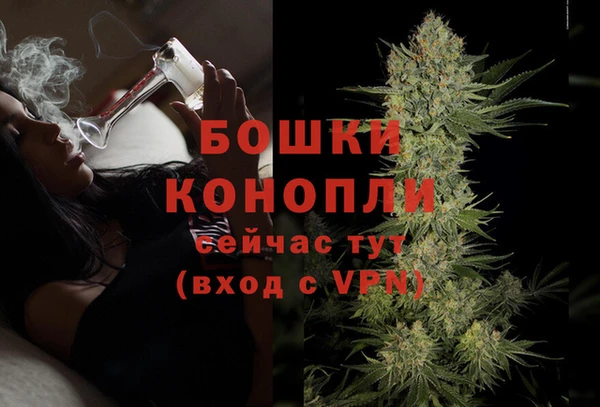 экстази Богданович