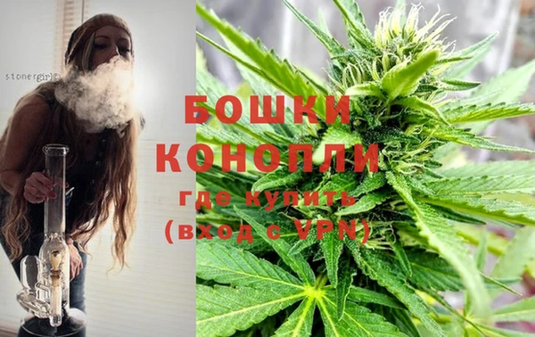 спиды Богородицк