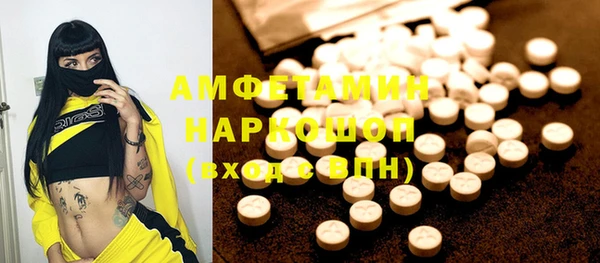 спиды Богородицк