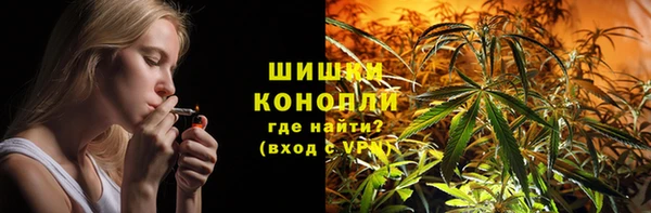 спиды Богородицк