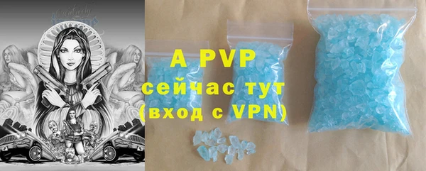 спиды Богородицк
