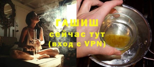 спиды Богородицк