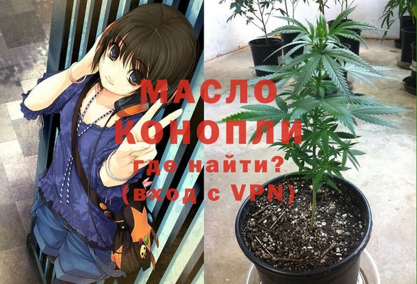 спиды Богородицк