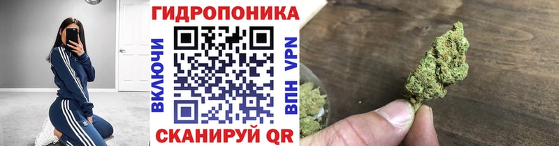 нарко площадка телеграм Пыть-Ях Бошки марихуана сатива мега сайт